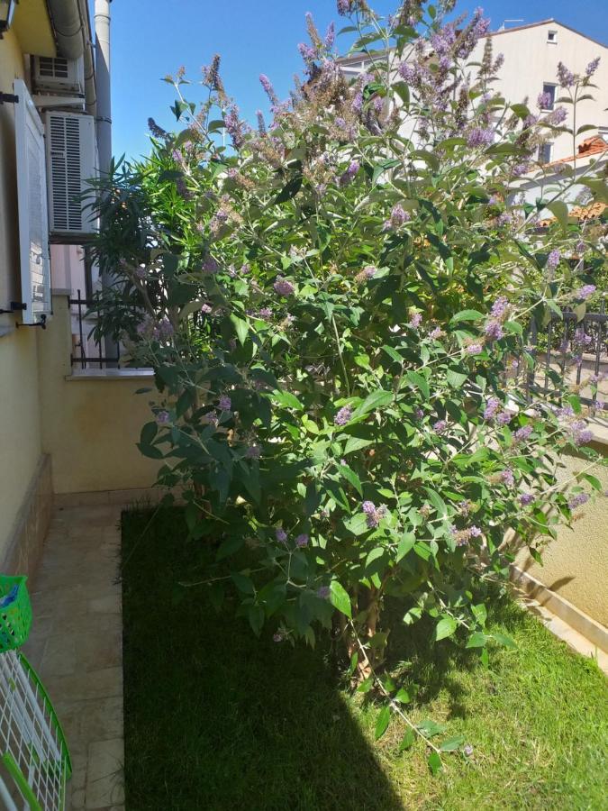 Apartman Vida Pula Exteriör bild